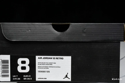 Air Jordan "Taxi" 12 130690-125 1029